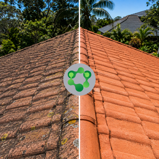 Roof Cleaning Before and After 5