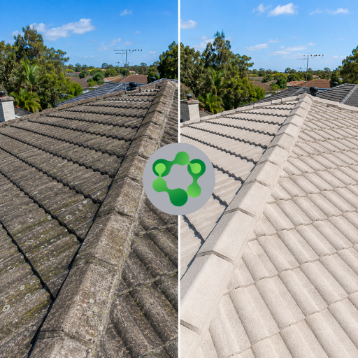 Roof Cleaning Before and After 1