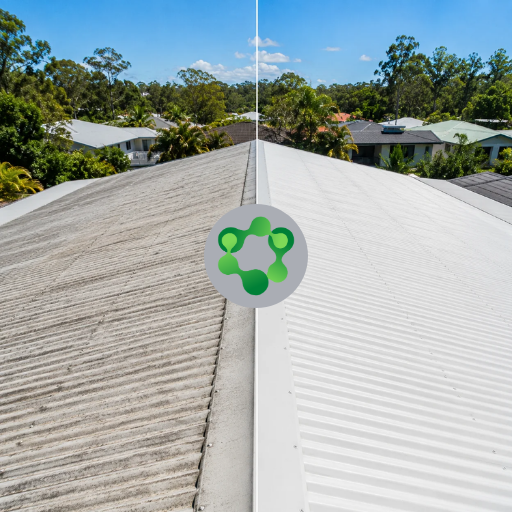 Roof Cleaning Before and After 2