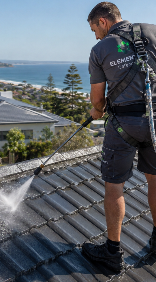 Roof Cleaning Northern Beaches